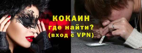 индика Бугульма