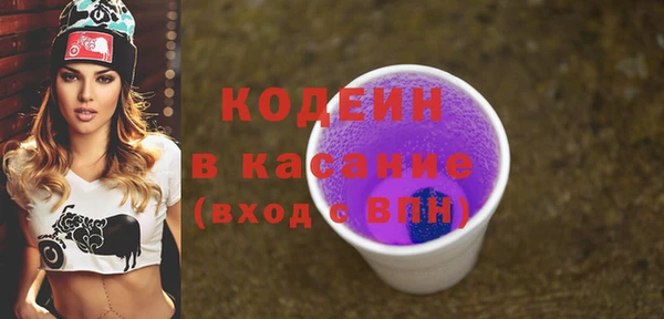 дживик Бородино