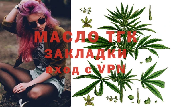 дживик Бородино
