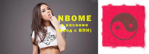 индика Бугульма