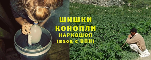 индика Бугульма