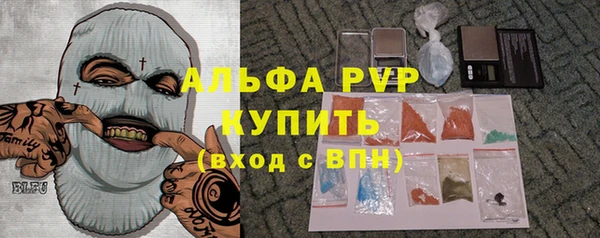 индика Бугульма