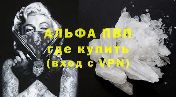 индика Бугульма