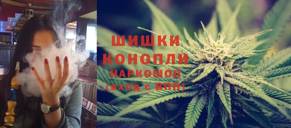 дживик Бородино