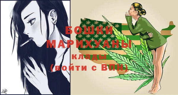 индика Бугульма