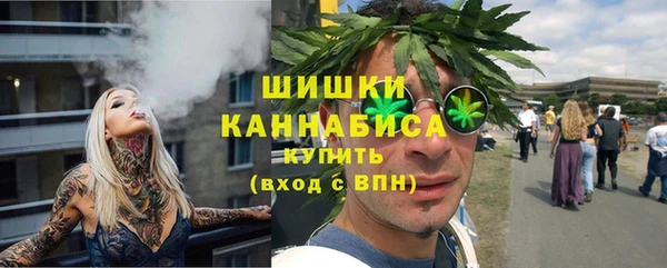 дживик Бородино