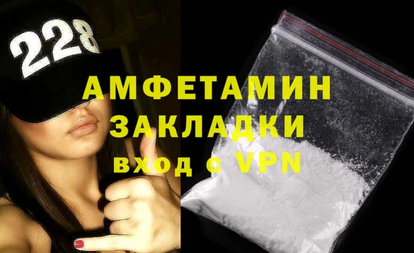 дживик Бородино
