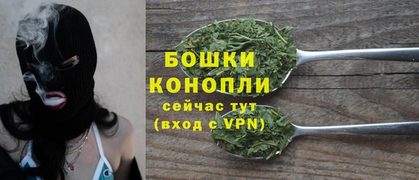 дживик Бородино