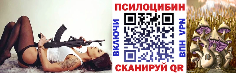 Купить  Липки  Псилоцибиновые грибы MAGIC MUSHROOMS 